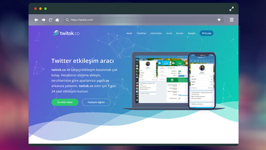 Website of the twitok.co project