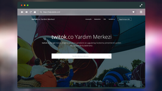 Help page of the twitok.co project